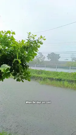 Rainy Day