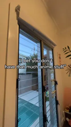 Anime merch
