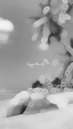 Happy Moments 
