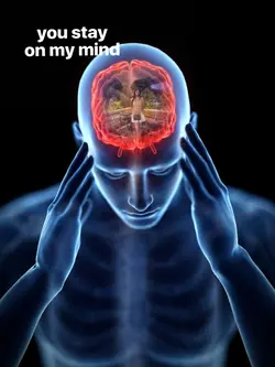stay on my mind 