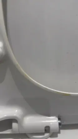 Dirty toilet seat