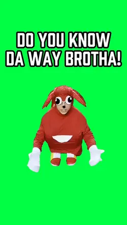 DO YOU KNOW THE WAY?