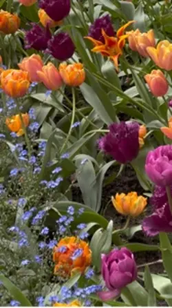 Spring has sprung