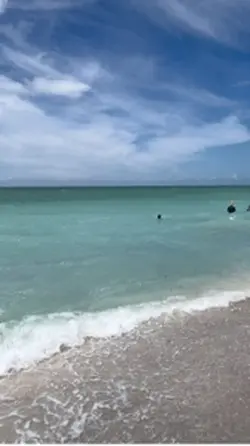 Beach day