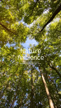Nature Adventure