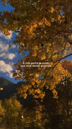Vídeo Motivacional