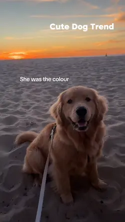 She was the colour