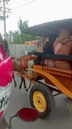 NAIK DELMAN
