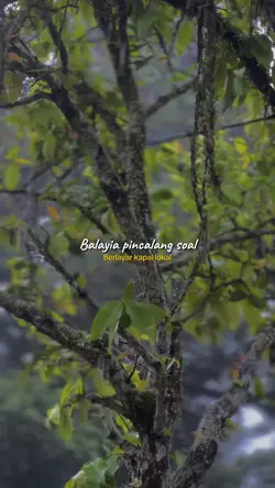 Tapaciak nan sansai 