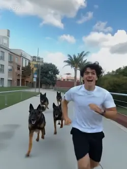 Chased by dog