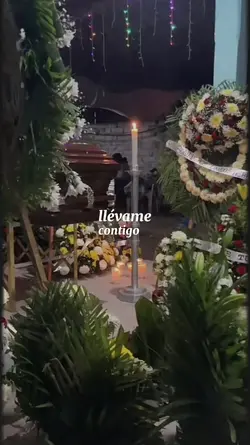 llévame contigo 