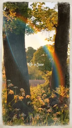 life in june