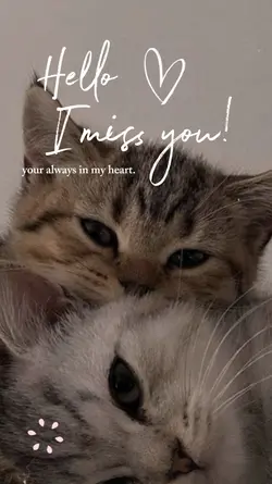imissyousomuch