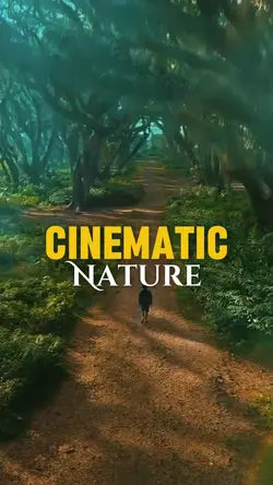 Nature Cinematic