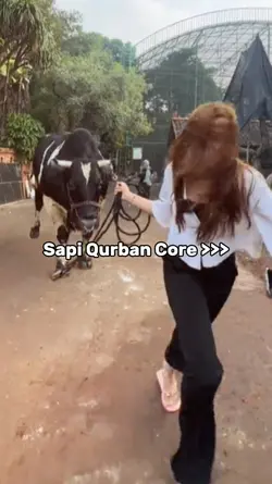 Sapi Core