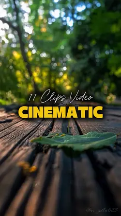 11 Videos Cinematic 