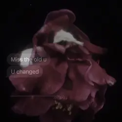 Dying flowers trend