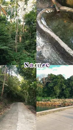 Nature 4 Pics