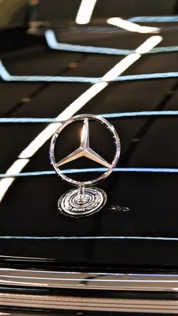 car buğu 