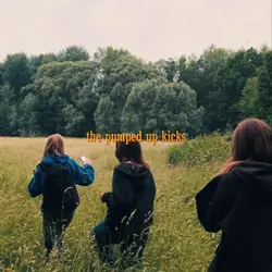 pumped up Kicks 1:1