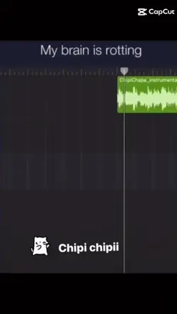~•Chipi remix•~