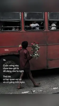 Caption + màu