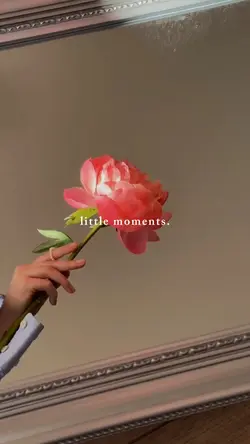 little moments 