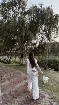 1 ảnh 