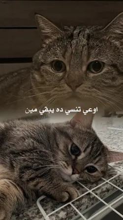 Arabic song 