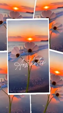 Aesthetic