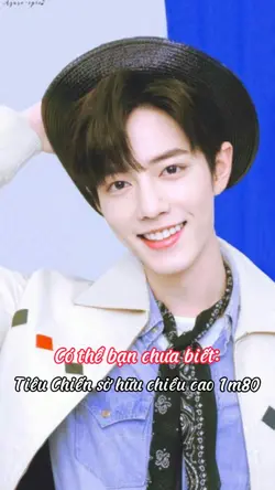 Show chiều cao