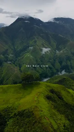 the best view