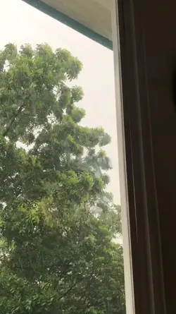 RAINY DAY