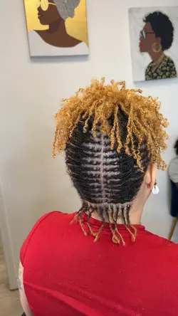 Hello 6mo Micro Locs