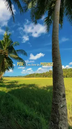 You live in province