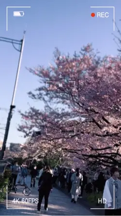 vlogエフェクト