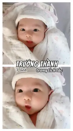 Trend Trưởng Thành