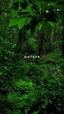 nature