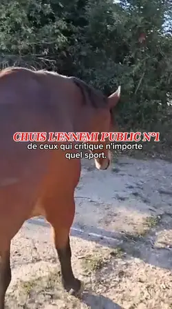 Y'a pas à critiquer 