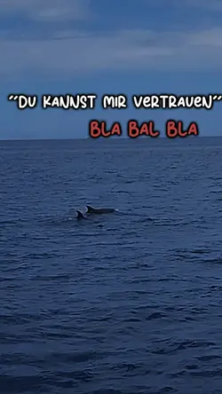ja ja ja...