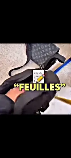 tu a une feuille ? 