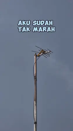 aku suda tak marah