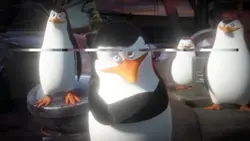 os melhores 