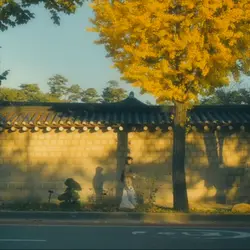 dream vibes