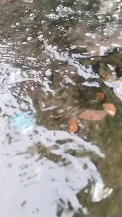 Kanal