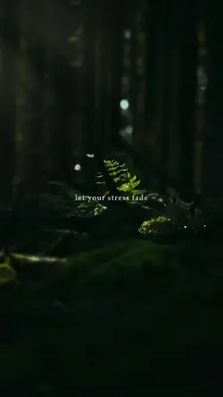 let your stress fade
