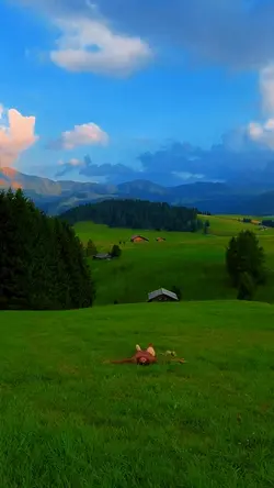 Calmdown