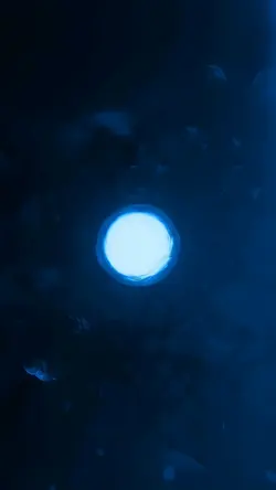 120 fps free edit