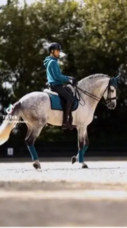 Dressage edit??