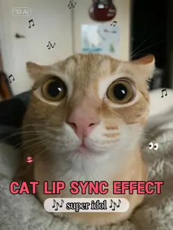 Cat Lip Sync Effect